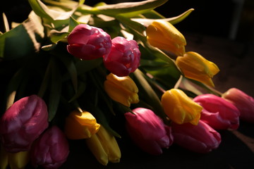 bouquet of yellow and pink tulips isolated  