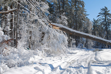 Fototapeta premium Frozen landscape after a winter blizzard causing damage