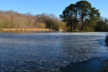 Snow smattered Winter Pond