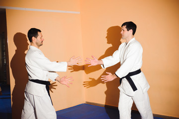 Obraz premium Fight between two aikido fighters