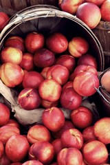 Farmers Market Fruit