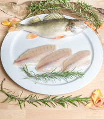 Kretzer Barsch Egli Bodensee Filet