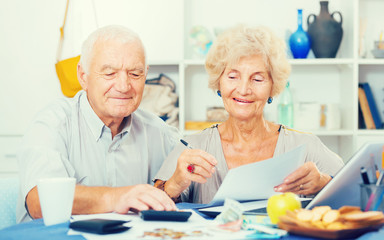 Smiling senior couple counting home finances