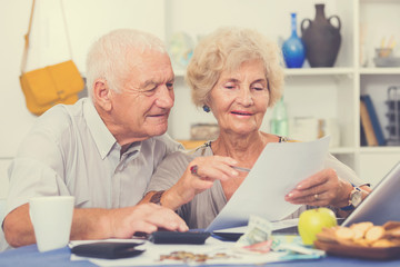 Fototapeta na wymiar Happy senior spouses with bills and laptop