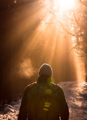 Mann wandert allein im Sonnenlicht durch Wald - obrazy, fototapety, plakaty