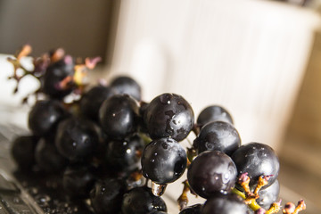 washing black ripe grapes