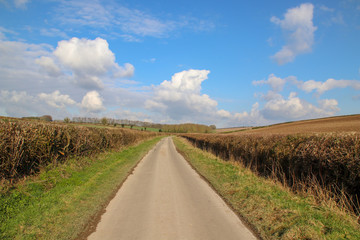 Fototapeta premium Country Road