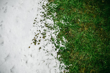 winter meet spring snowed ground with green grass
