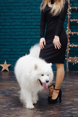 Girl in black dress and white dog