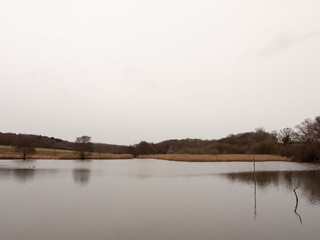 bleak cold white sky winter lake serene country landscape depressing