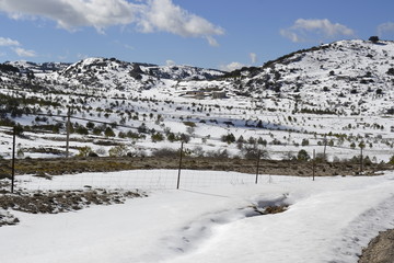 Nieve