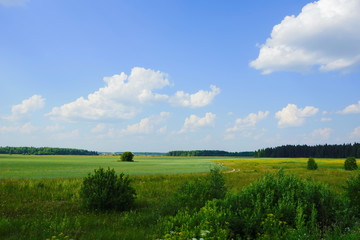 green meadows gave forests far away. thin snake road. blue sky and white clouds.