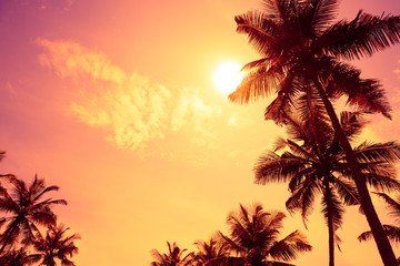 Obraz na płótnie Canvas Tropical sunset with palm tress and copy space