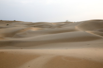 Fototapeta na wymiar Desert sand landscape
