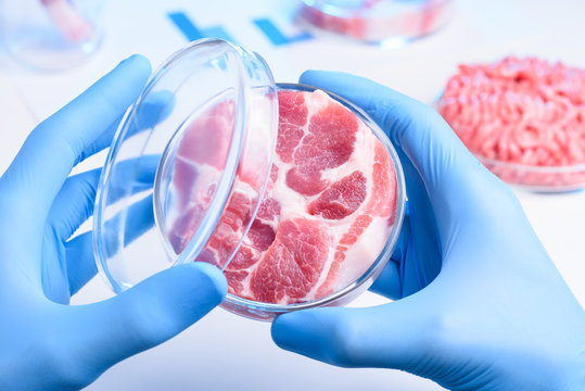 Meat in half open laboratory Petri dish