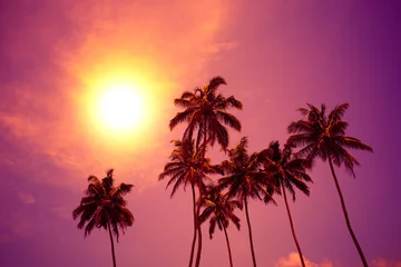 Foto op Plexiglas Palmbomen bij levendige zonsondergang met kleurrijke lucht en stralende zoncirkel © nevodka.com