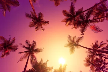 Foto op Plexiglas Levendige warme tropische zonsondergang met palmbomen © nevodka.com