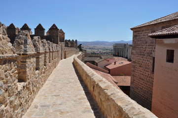 Caminando por las murallas de Avila, España