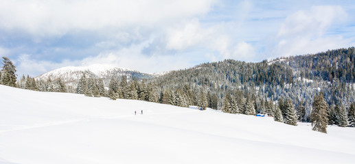 Fototapeta na wymiar Group of people in winter nature walking through snowy landscape