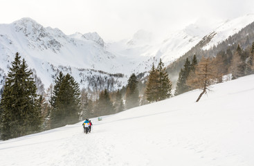 Fototapeta na wymiar Group of people in winter nature walking through snowy landscape
