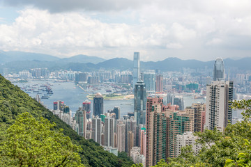 Fototapeta premium Honng Kong Sky line from Victory peak