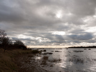 moody sky overcast autumn winter bay water ocean trees