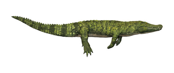 Fototapeta premium 3D Rendering Green Crocodile on White