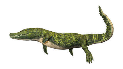 3D Rendering Green Crocodile on White