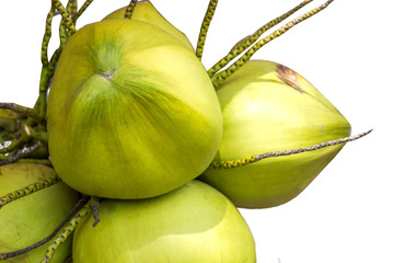 Coconut on white background.