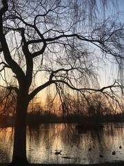 Ein kalter aber sonniger Februar Wintertag endet