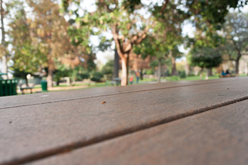 Picnic table in park