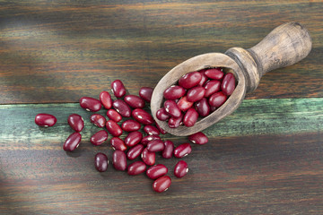 Raw red beans Phaseolus vulgaris