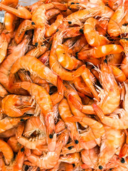 Fresh chilled prawns on ice