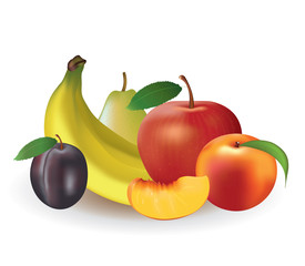 Fruits on white background, vector