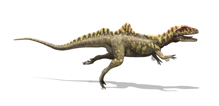 Concavenator Dinosaur