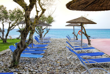 Obraz na płótnie Canvas A relaxing place with sun beds under olive trees by seaside on southern Europe