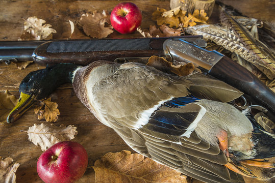 duck hunting/hunting rifle and duck on background of dry autumn oak leaves and wooden background
