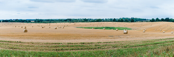 Fototapeta na wymiar panorama of a stubble field with round bales, straw bales