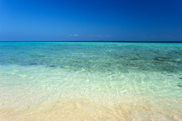 Fototapeta premium Sea. Tropical Paradise.