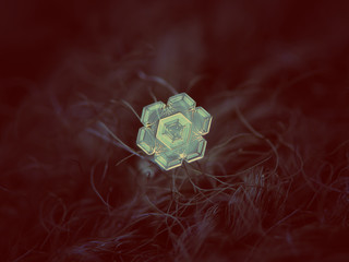 Real snowflake glowing on dark textured background. Macro photo of real snow crystal: small star...