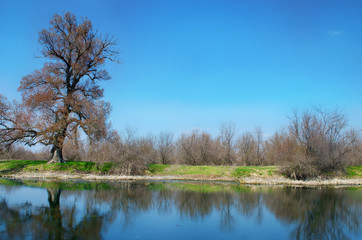 Fototapeta na wymiar river, blue sky, spring weather, summer, sunny day, beautiful landscape, Kherson region