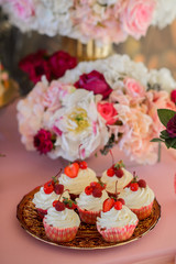 Obraz na płótnie Canvas Holiday cakes for gourmets. Wedding cake. 