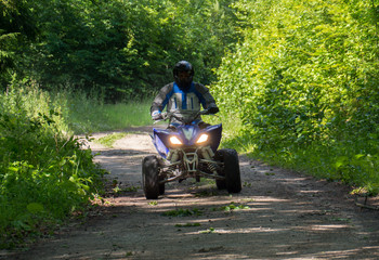 rally quad in the forest - obrazy, fototapety, plakaty
