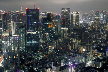 Fototapeta premium Panoramę Tokio w nocy