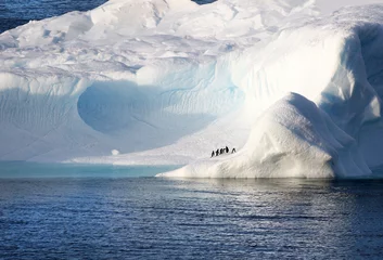 Foto op Aluminium Pinguïns staan op een enorme ijsberg. Spelonkachtige blauwe ijsgrot. Antarctica landschap © birdiegal