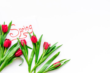 Spring mood. Red tulips near spring hand lettering on white background top view copy space