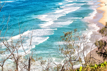 in  australia  the  beach  island the tree and rocks