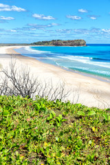 in  australia  the  beach  island the tree and rocks