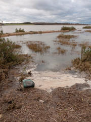 moody sky overcast autumn winter bay water ocean trees