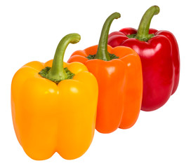 ripe red, orange and yellow sweet peppers for salad on white isolated background